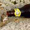 мышка и бутылка пива