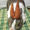 кролик с рогами из морковки