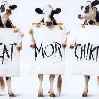 коровы против говядины