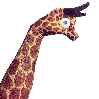 рука жираф