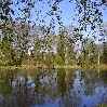 красивая природа озеров лесу ива