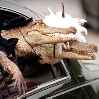крокодилы в лимузине муж и жена
