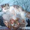 кошка замерзла во льду
